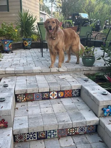 1170