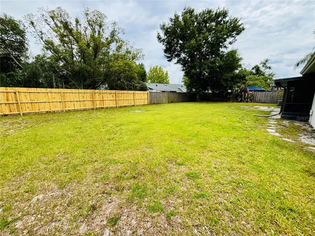 Big Back Yard to Play