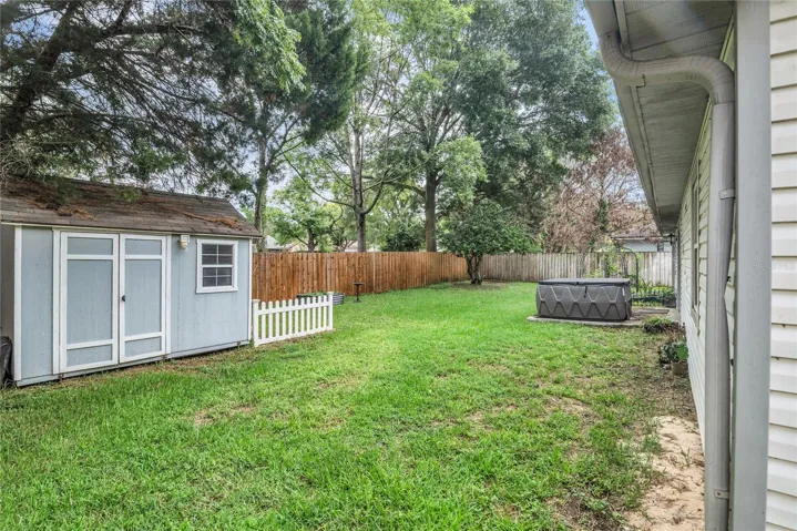 Back Yard