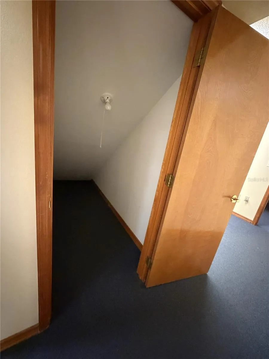 Under stairs broom closet