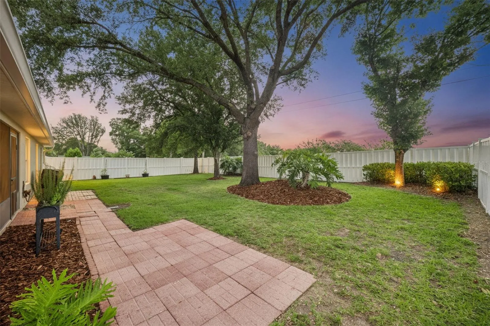 Back Yard (Dusk)