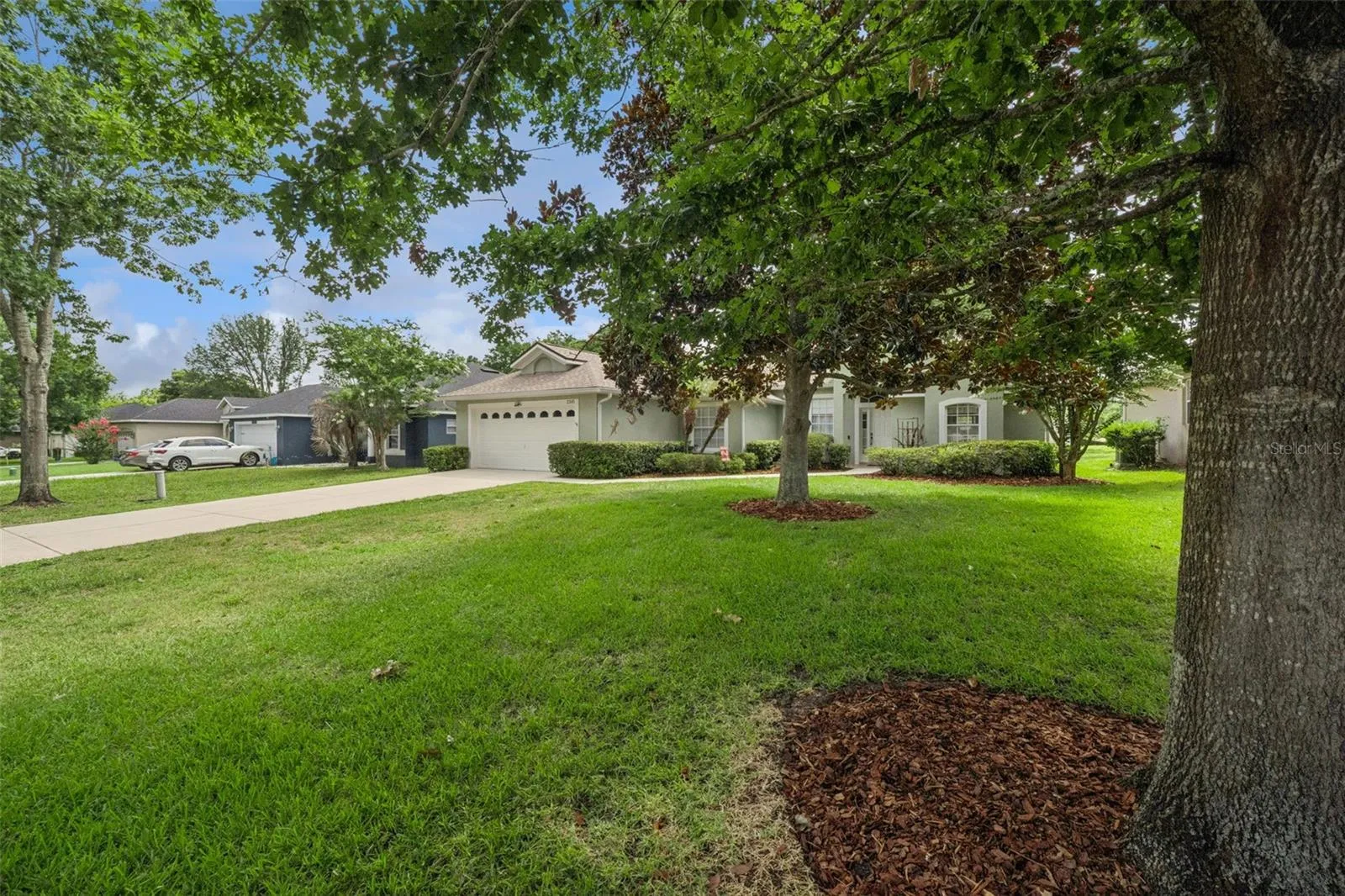 Front Yard