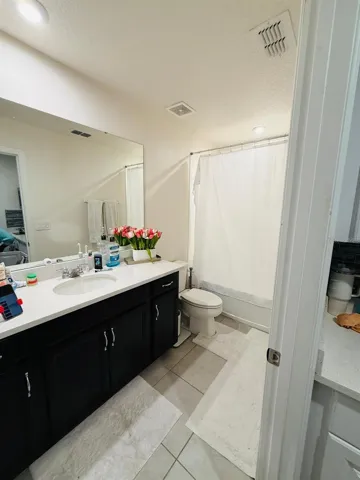 In Law Suite bathroom (2nd floor)