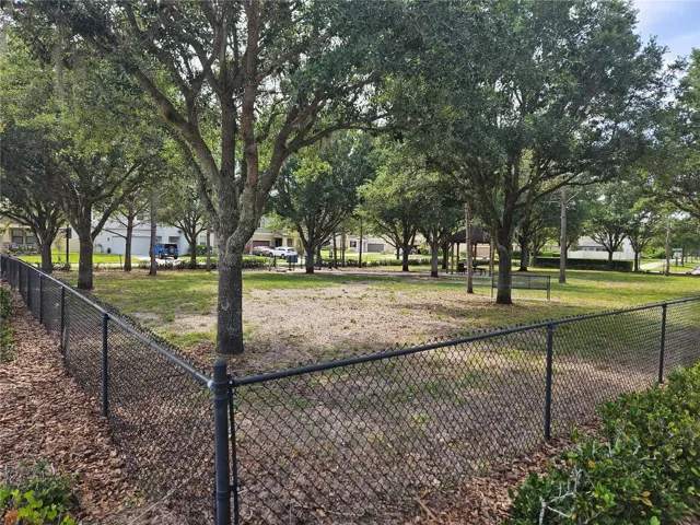 Dog park