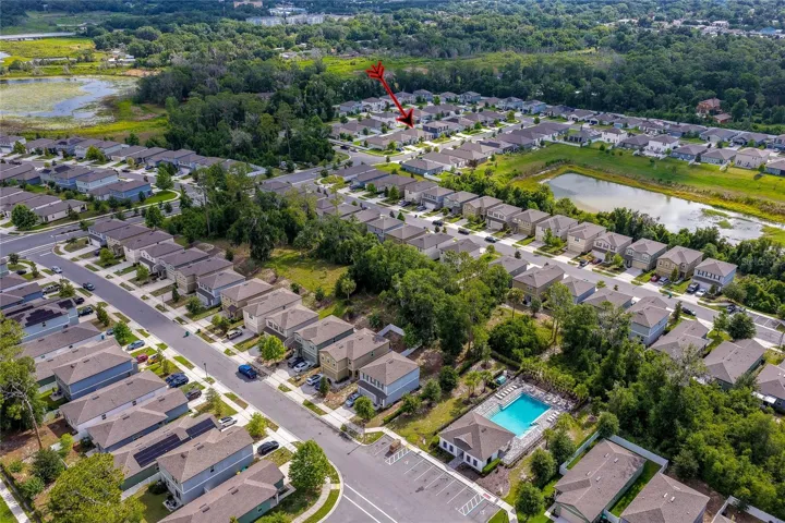Sweeping panoramic aerial illustrating the vast layout of the entire neighborhood, emphasizing the community pool facility nestled alongside lush foliage and surrounding homes.