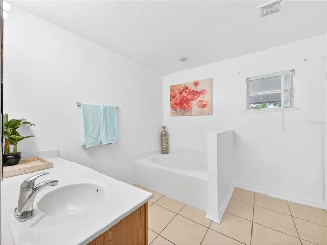 Primary Bath Tub