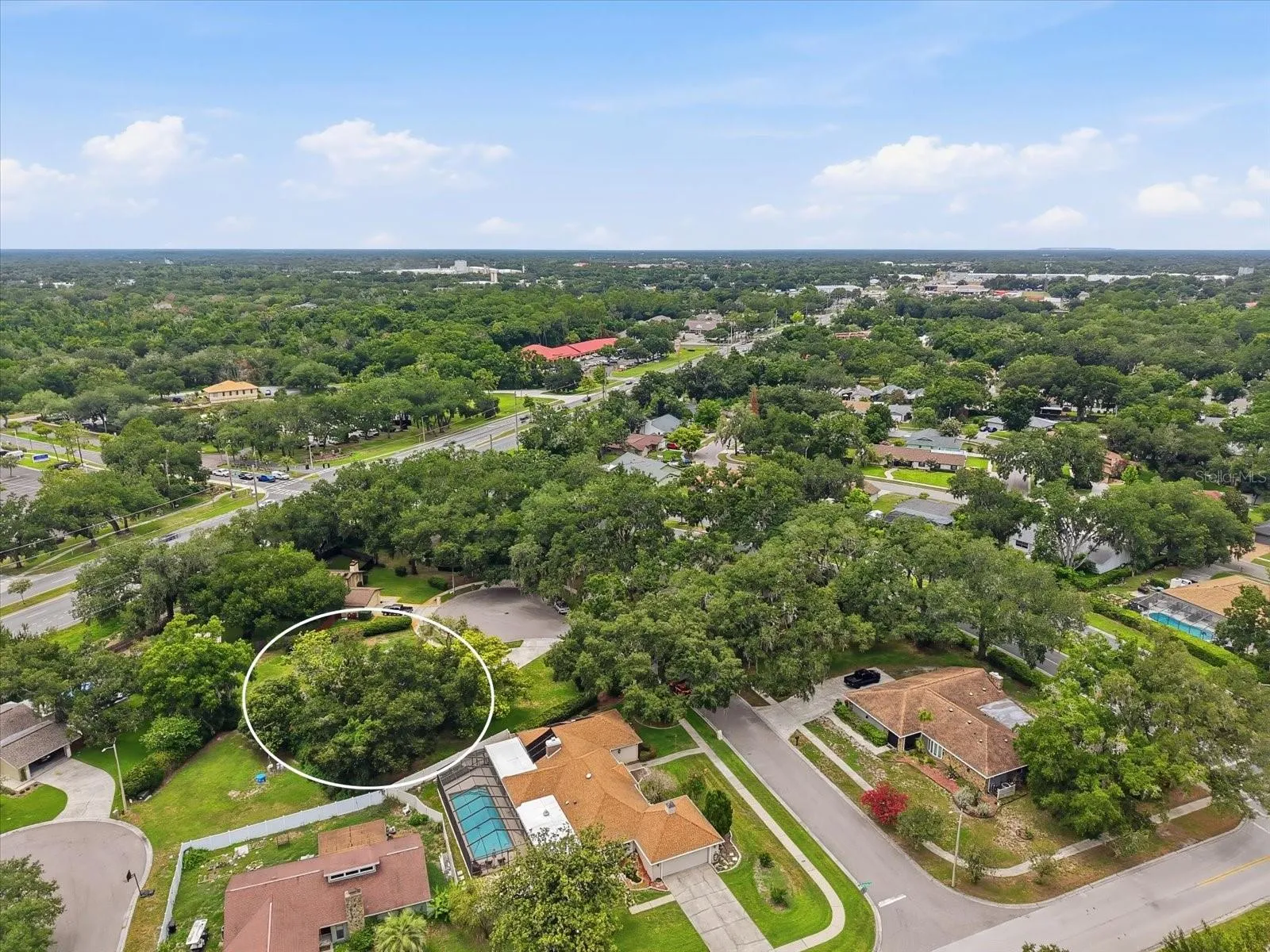 1405 Laurel Ct, Plant City, Florida 33563 — photo 35