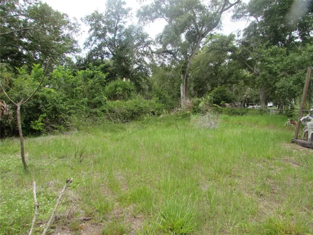 .49 acres lot