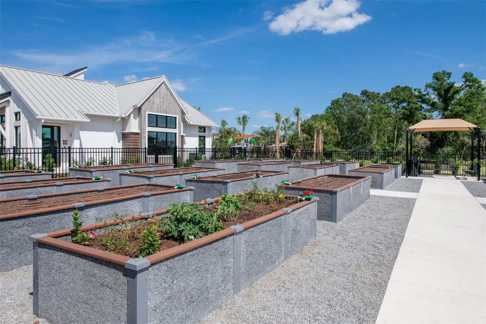 Vida’s Bloom Community Garden