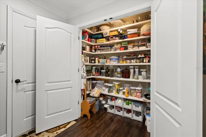 Pantry Closet