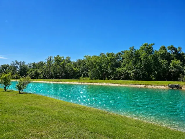 Backyard View