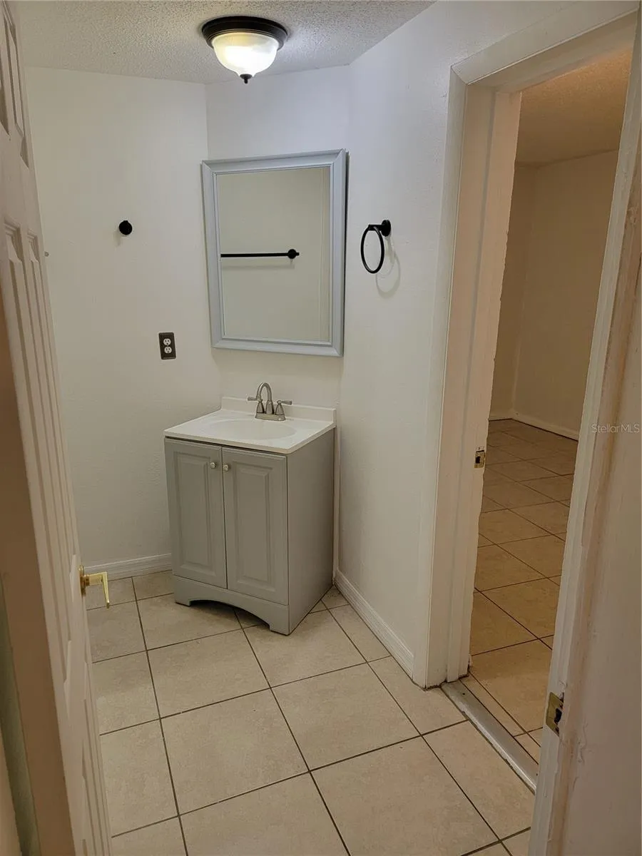 Main bath sink
