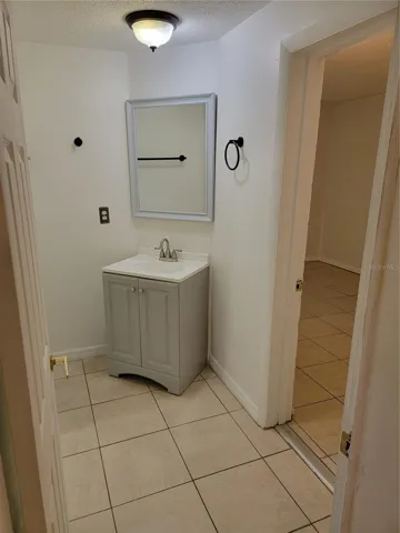 Main bath sink