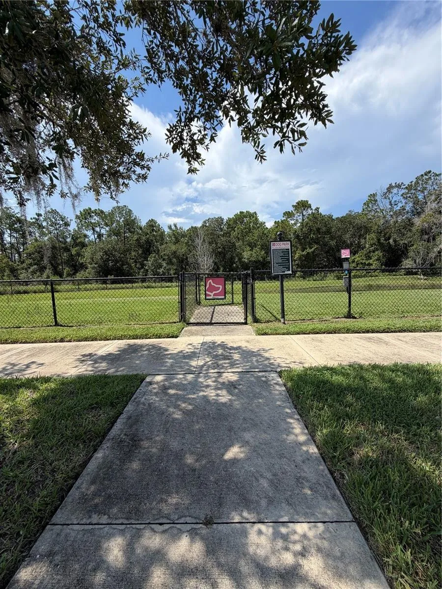 Dog park