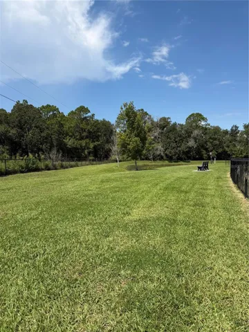Dog park
