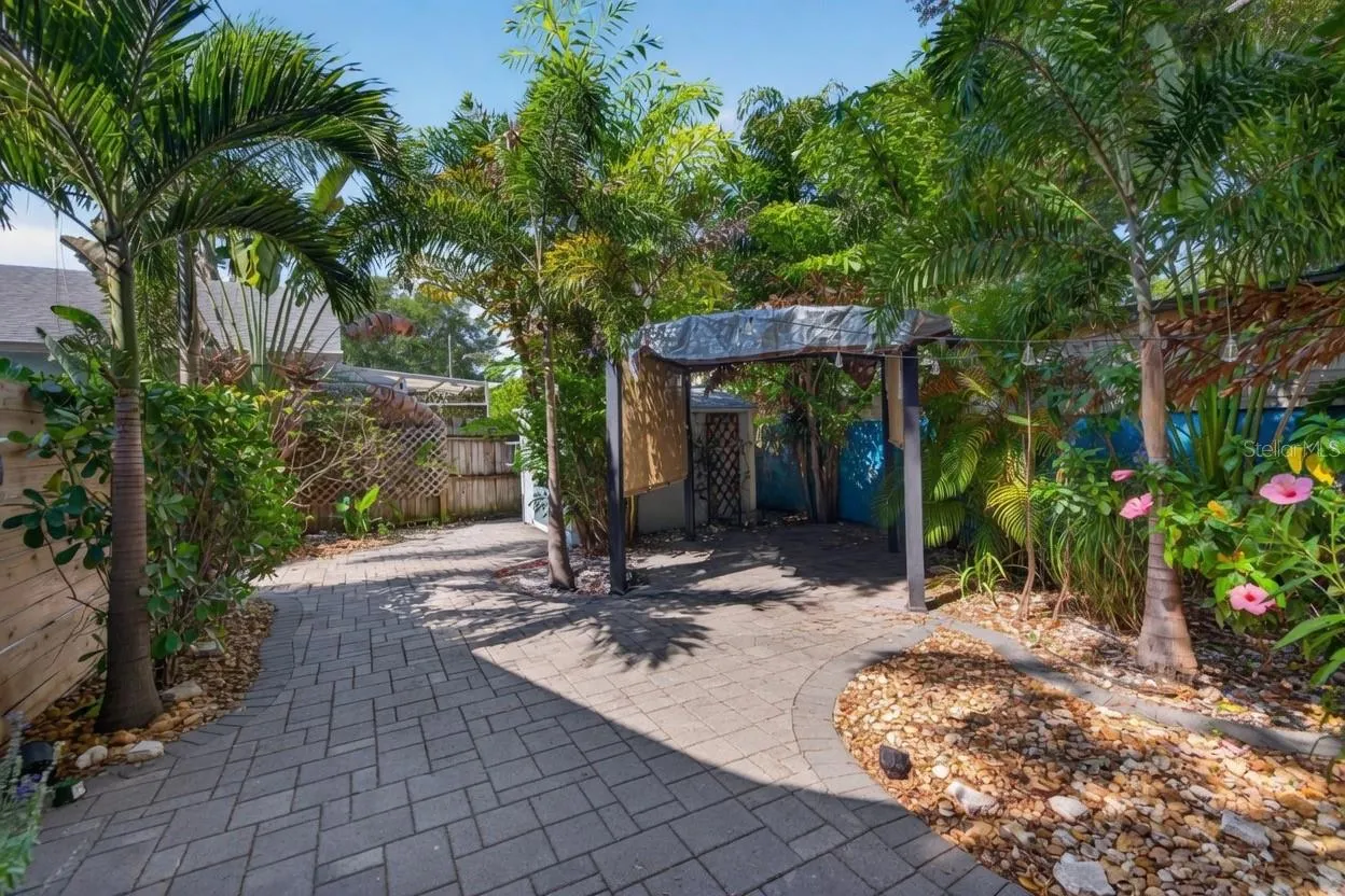 Backyard