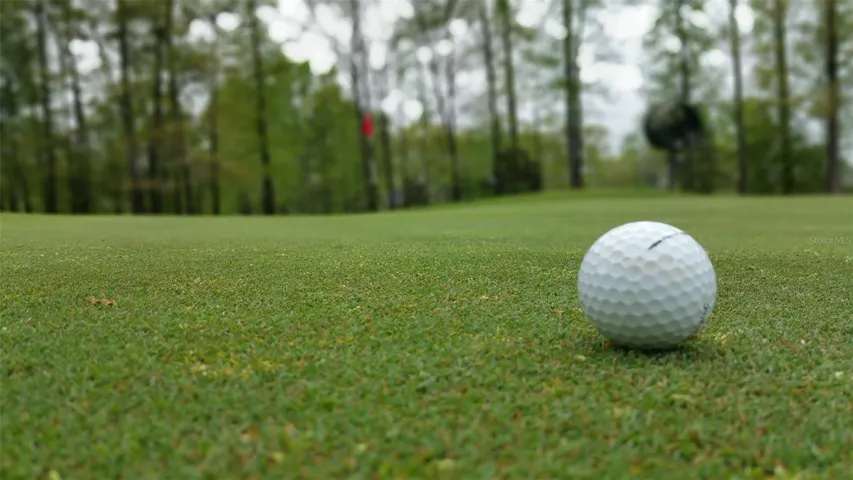 Golf court