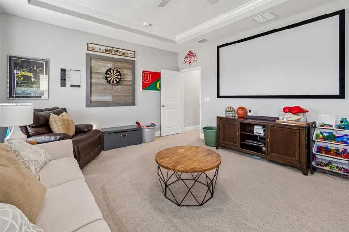 Bonus Room with screen and projector