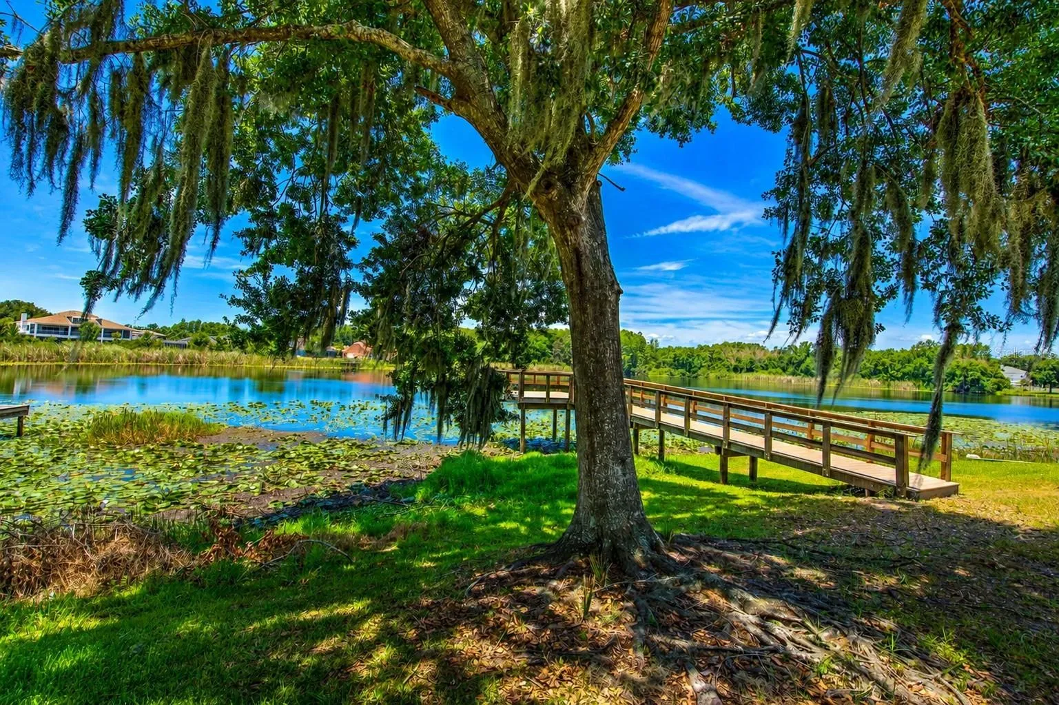 Tranquil views of lake and dock