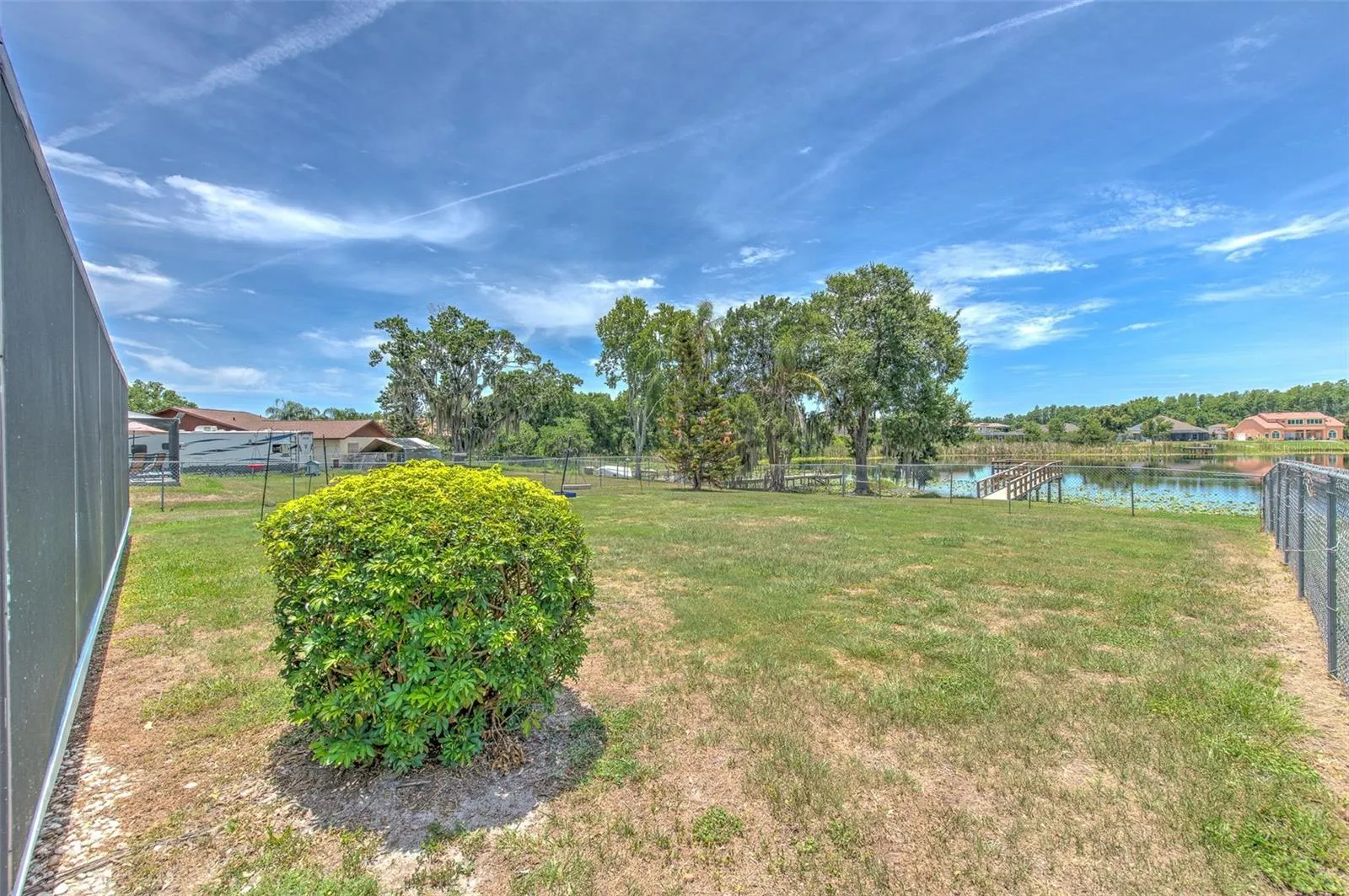 Huge backyard, lots of nature & birds