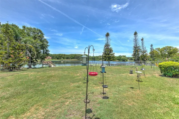 Huge backyard, lots of nature & birds
