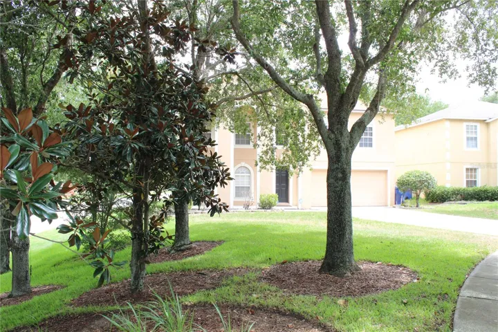 Side view