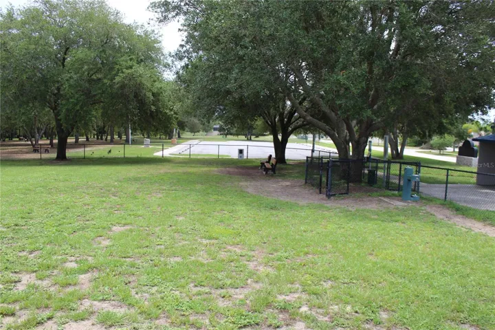 Dog Park