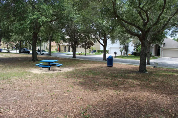 Park Bench area