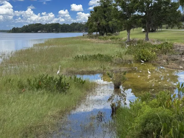 Always a fun walk along the lake for wildlife viewing