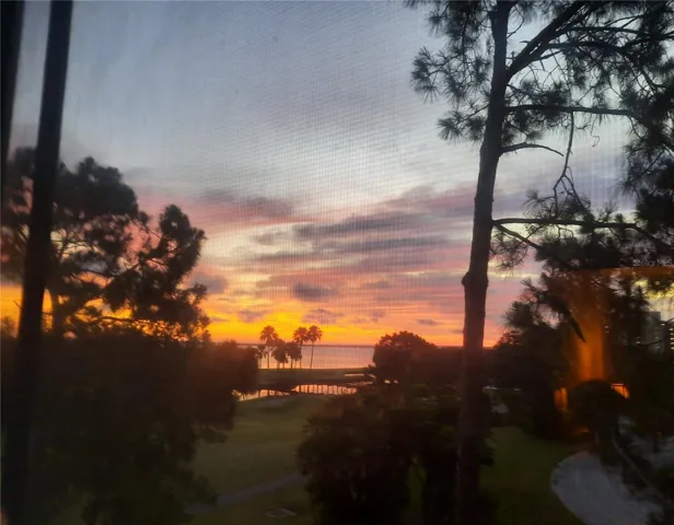 Always a different Sunrise view from Fourth Floore unit #4E Wall to Wall Balcony.