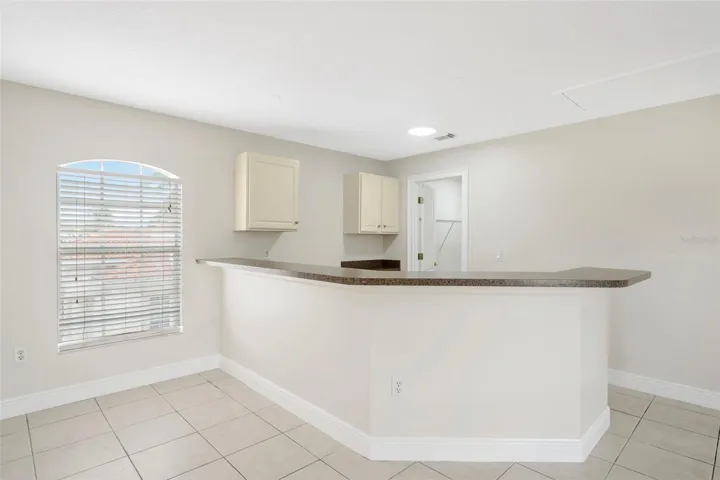Bonus room wetbar