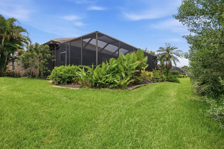 View of backyard
