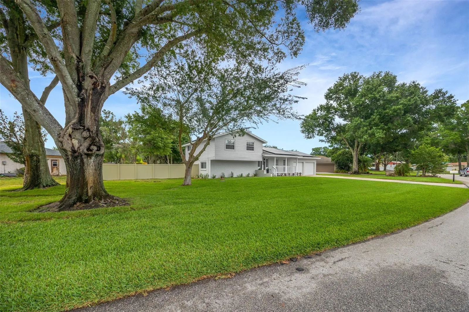 Front Yard