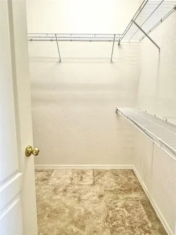 Walk-in Primary Closet