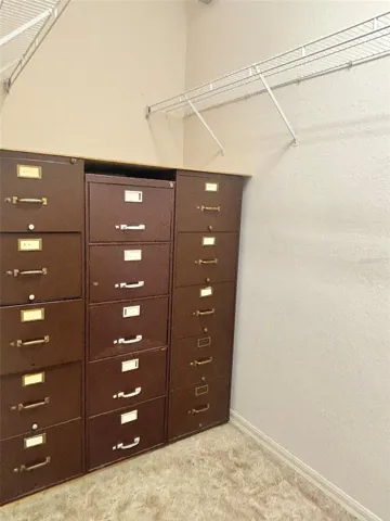 Walk-in Primary Closet