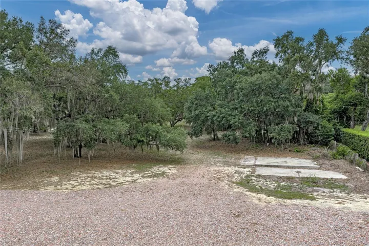 Front yard