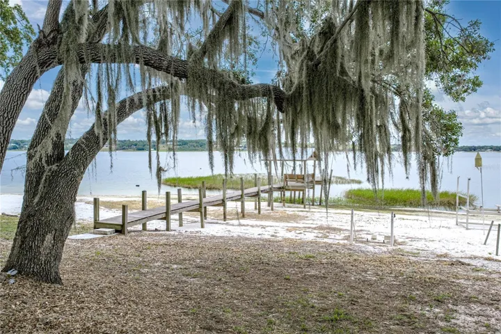 Backyard- lake view