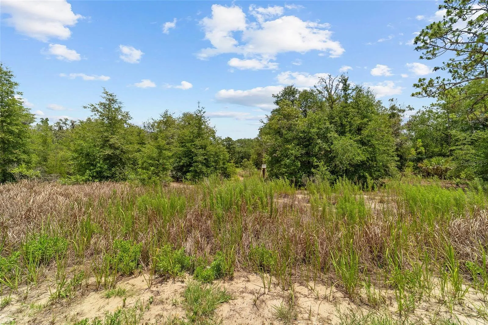 Vacant Land