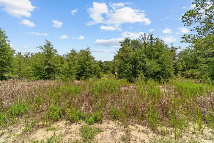 Vacant Land