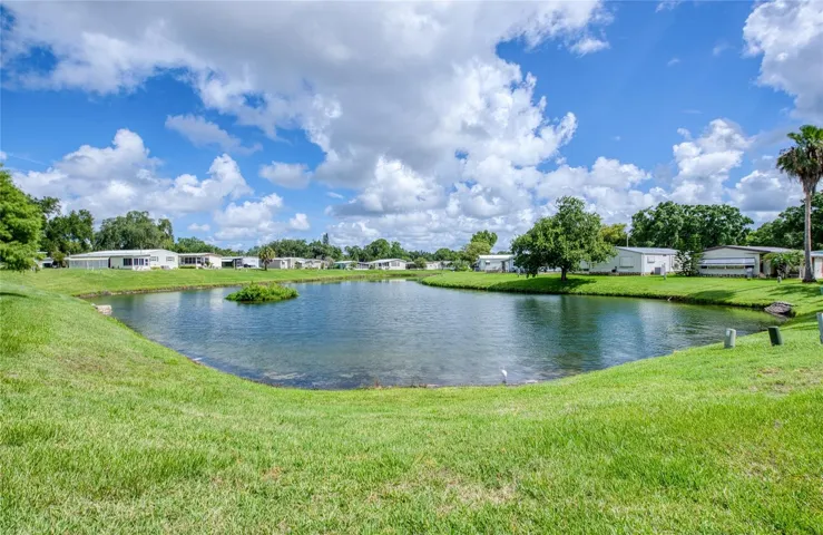 pond