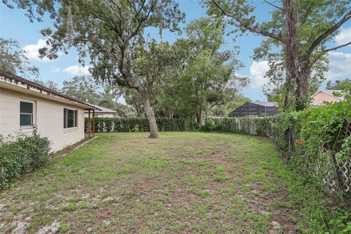 Fenced backyard.