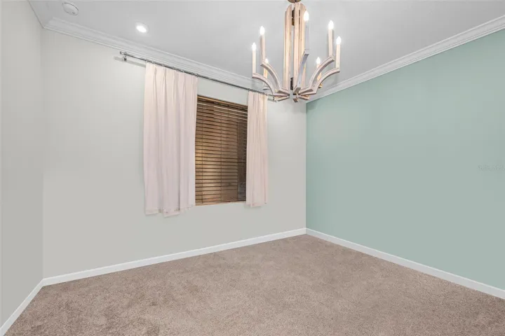 New Carpet