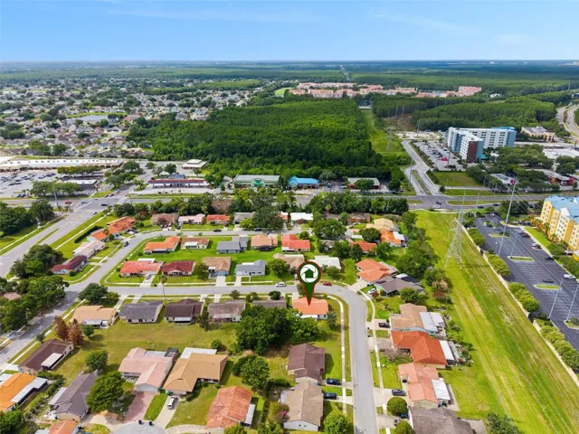 Drone View