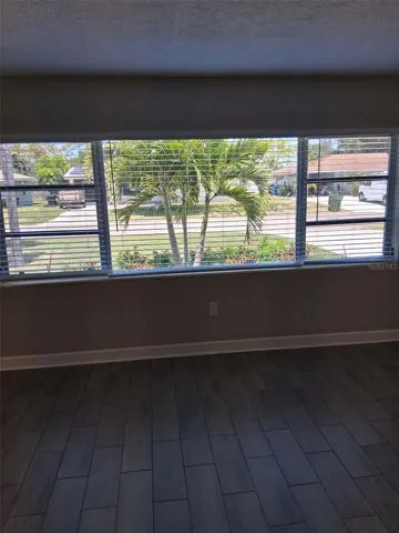 living room windows
