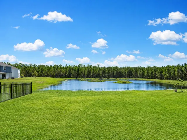 Pond view