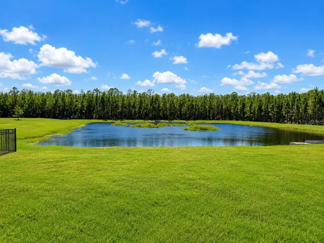 Pond view