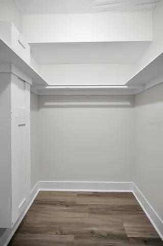 Her walk - in closet