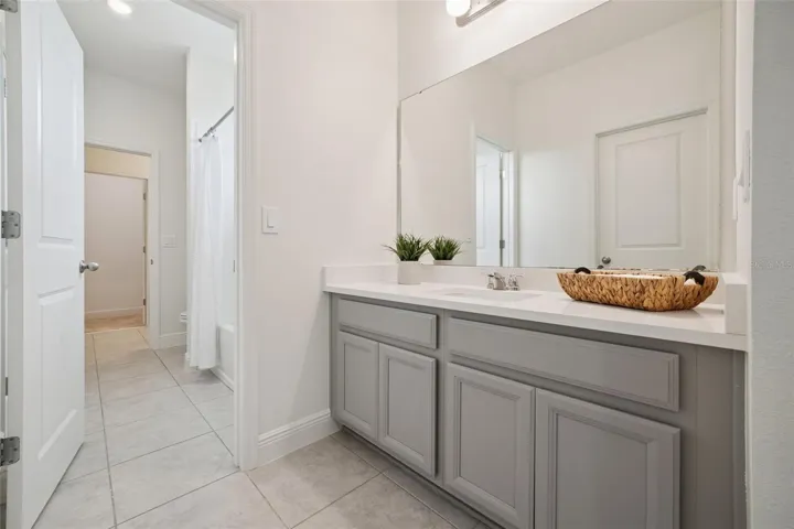 Jack and jill bathroom 2