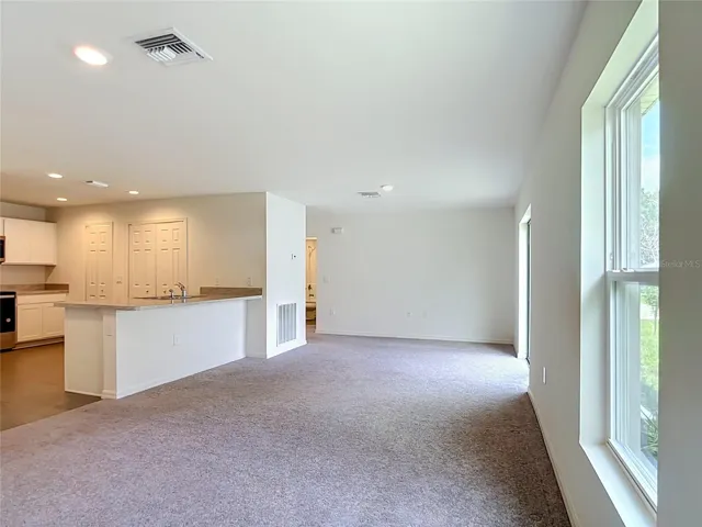 Living room/Kitchen view