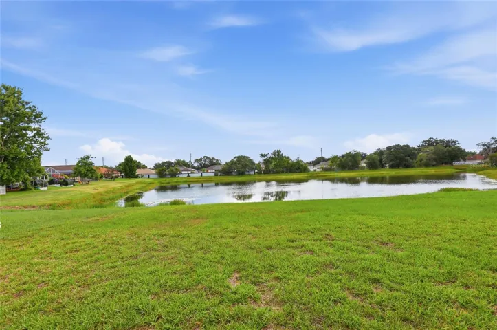 Rear yard with water views